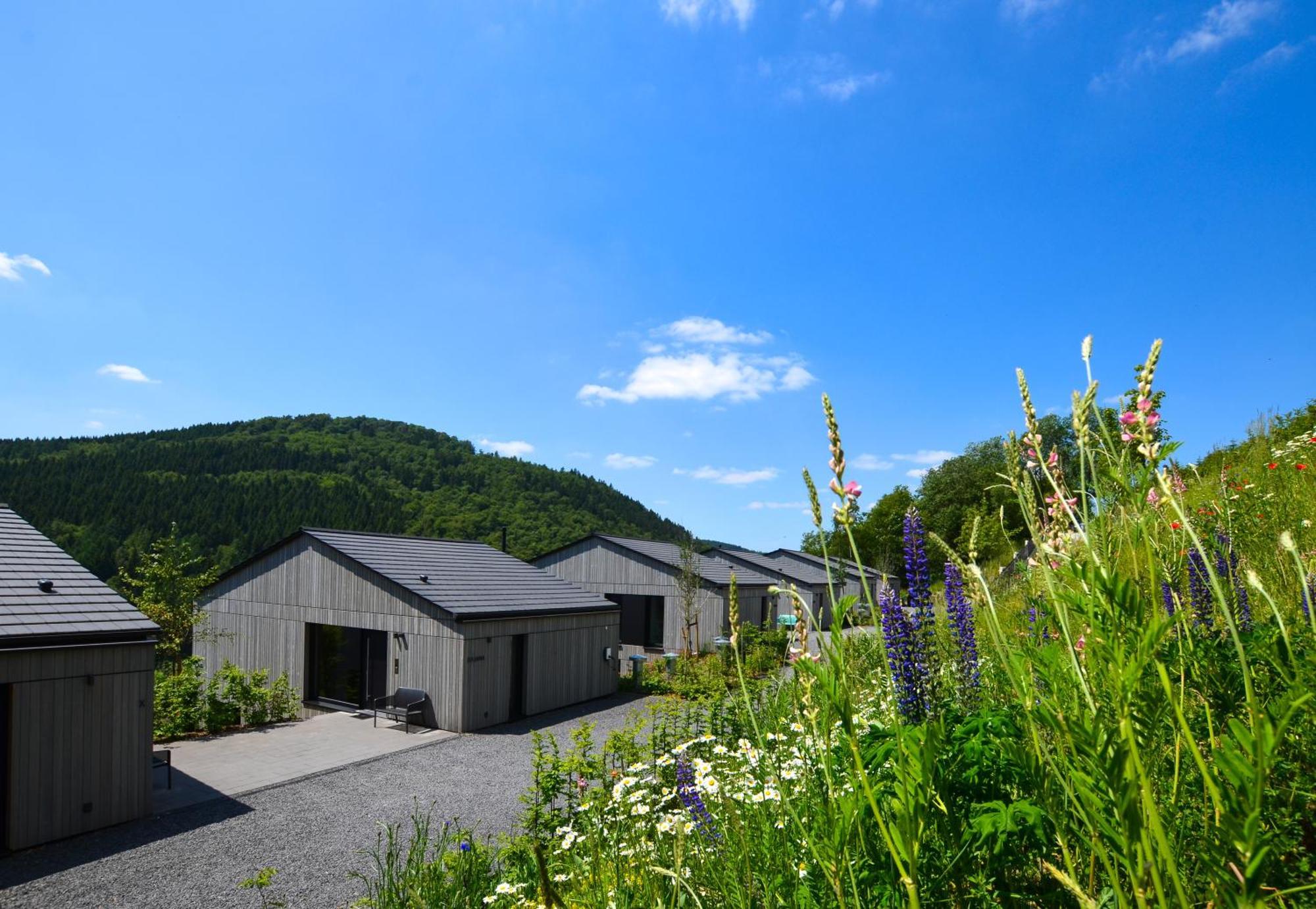 Sauerland Lodge - Haus Julius Winterberg Dış mekan fotoğraf